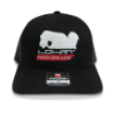 Cap_LCPP112-01_2.png
