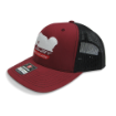 Cap_LCPP112-12_1.png