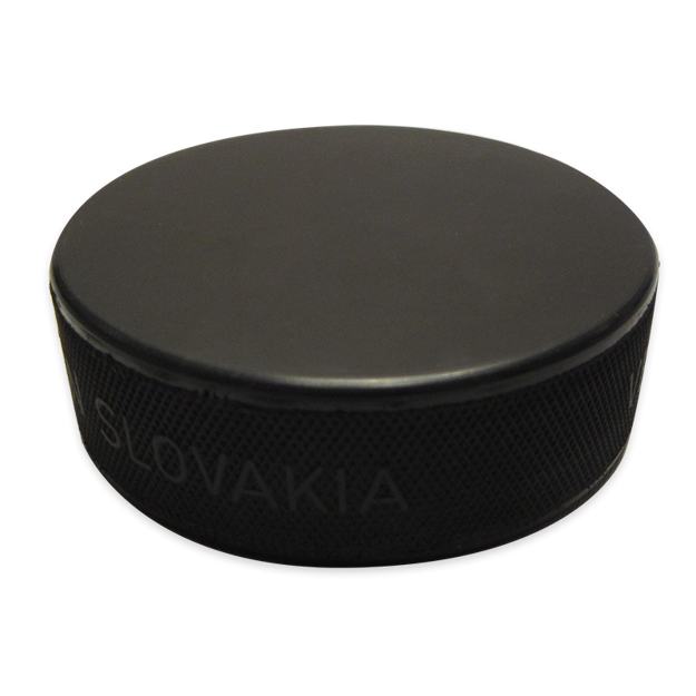 Picture of Practice Hockey Puck Black 394 100